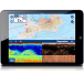 Dragonfly 4 Sonar - GPS - Chartplotter - DownVision™ Displays