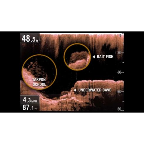 Pantallas de sonda DownVisionTM Dragonfly 4DV de 4"