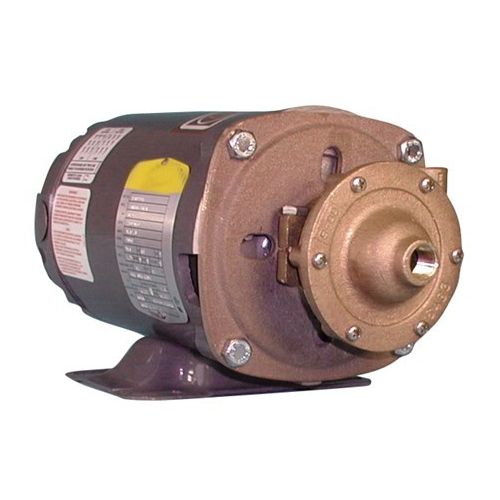 OBERDORFER 101M-F13 Centrifugal Pump