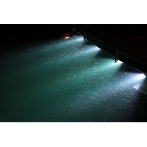 LUMITEC SeaBlaze X2 LED Underwater Light