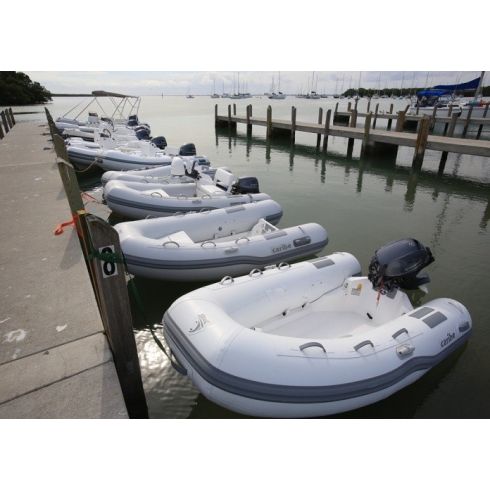 Dinghy - C8, Double Hull, 8 Feet, Max HP: 9.9, 4 Pass.