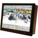 Seatronx Sunlight Readable Touchscreen Displays  - SRT Series - 10" to 24"