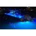 Shadow Caster SCR-24 Underwater LED Lights - Blue and White Color Changing - Up to 10,000 Lumens