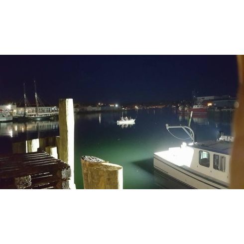 Durabrite Marine LED Floodlight Mini Series - white frame