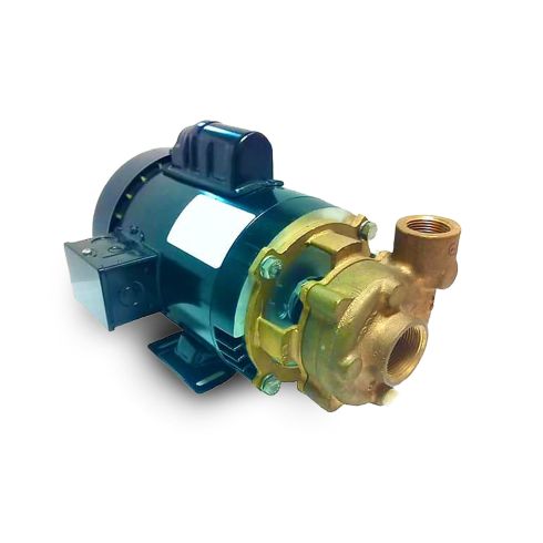 OBERDORFER 101M-F13 Centrifugal Pump