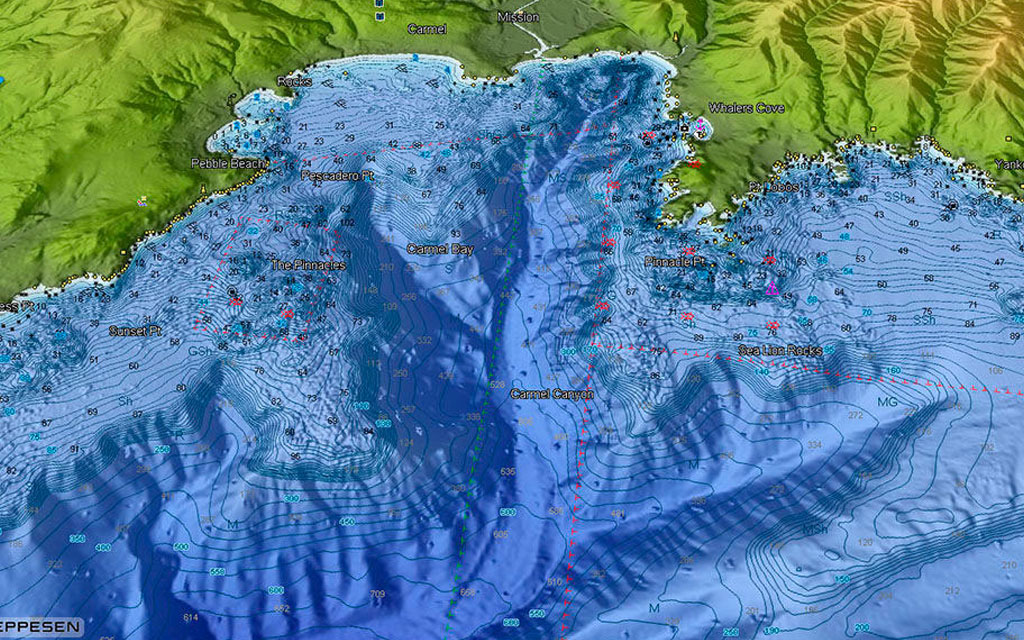 Raymarine C-Map E70295-US