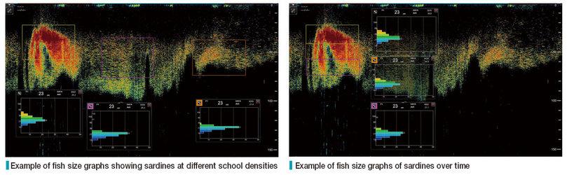 FURUNO_FCV2100_FishSize_in_3_locations